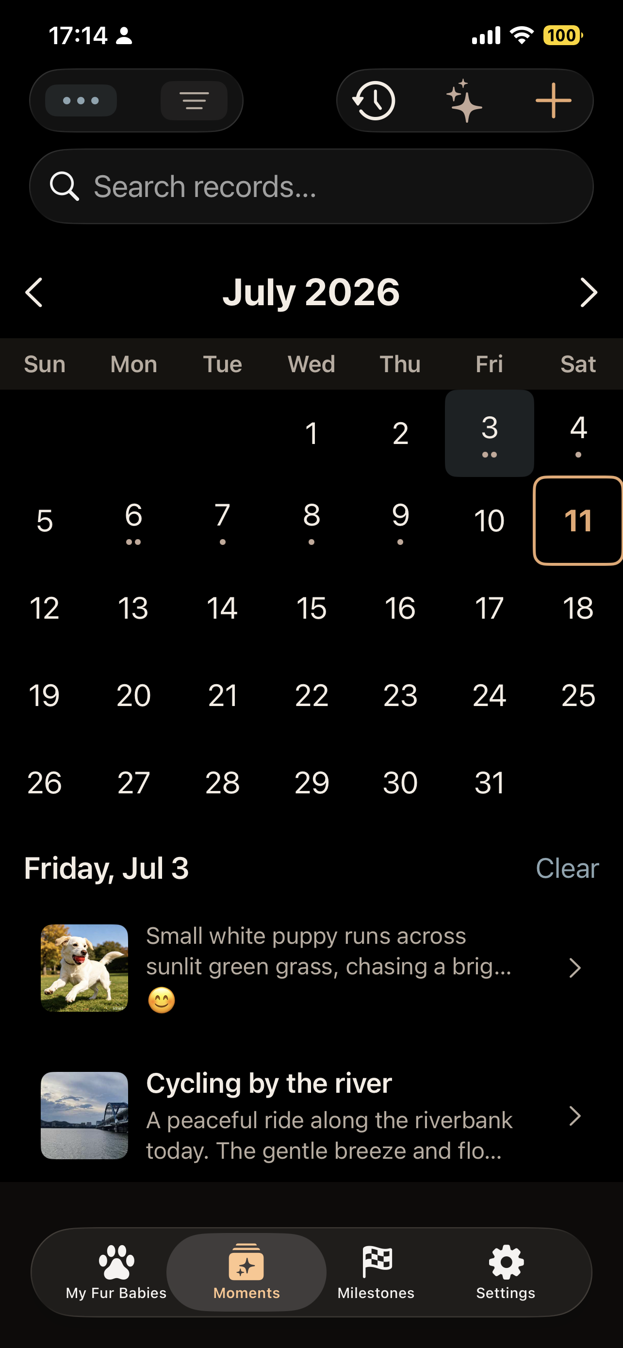 Calendar view showing moments by date with color-coded dots and monthly summary