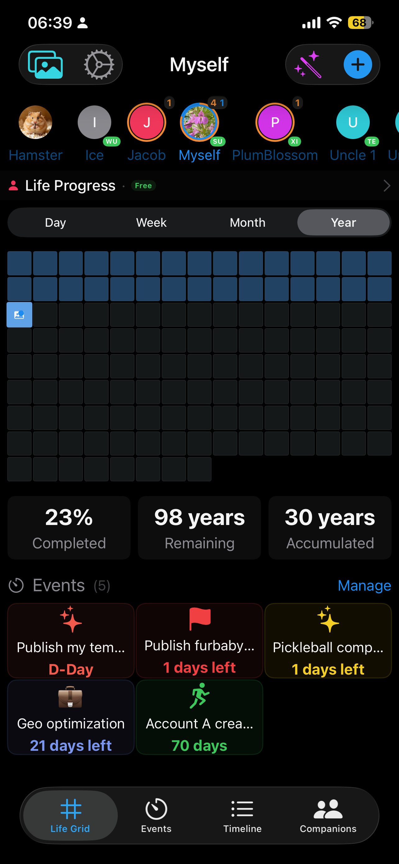 My Tempus Life Grid on iPhone